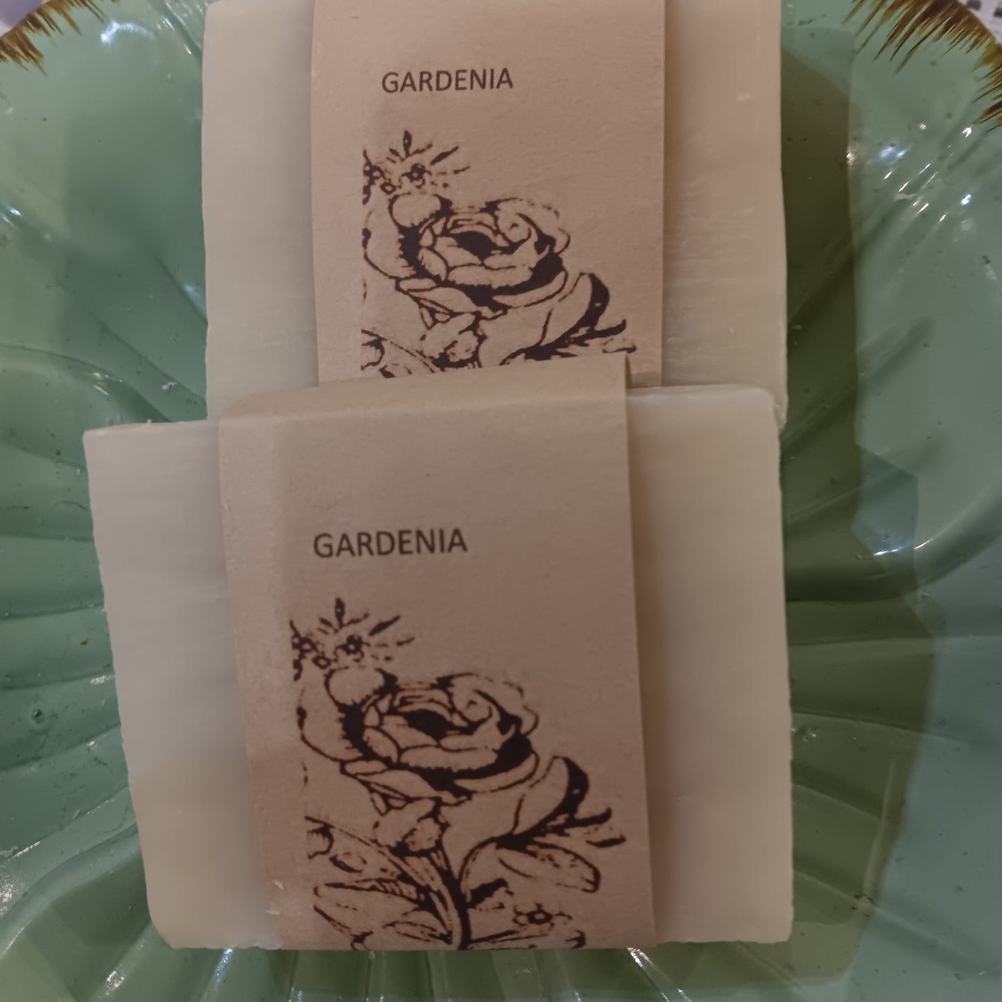 Gardenia